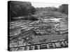 Cedar Logs on the Tebicuary-Guazu River Floating by the Railway Bridge, Paraguay, 1911-null-Stretched Canvas