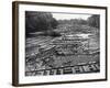 Cedar Logs on the Tebicuary-Guazu River Floating by the Railway Bridge, Paraguay, 1911-null-Framed Giclee Print