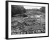 Cedar Logs on the Tebicuary-Guazu River Floating by the Railway Bridge, Paraguay, 1911-null-Framed Giclee Print