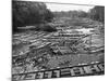 Cedar Logs on the Tebicuary-Guazu River Floating by the Railway Bridge, Paraguay, 1911-null-Mounted Giclee Print