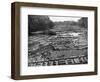 Cedar Logs on the Tebicuary-Guazu River Floating by the Railway Bridge, Paraguay, 1911-null-Framed Giclee Print