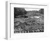 Cedar Logs on the Tebicuary-Guazu River Floating by the Railway Bridge, Paraguay, 1911-null-Framed Giclee Print
