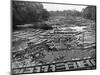 Cedar Logs on the Tebicuary-Guazu River Floating by the Railway Bridge, Paraguay, 1911-null-Mounted Giclee Print