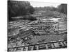 Cedar Logs on the Tebicuary-Guazu River Floating by the Railway Bridge, Paraguay, 1911-null-Stretched Canvas