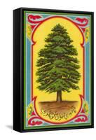 Cedar of Lebanon, Arabic Script-null-Framed Stretched Canvas