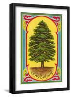Cedar of Lebanon, Arabic Script-null-Framed Art Print