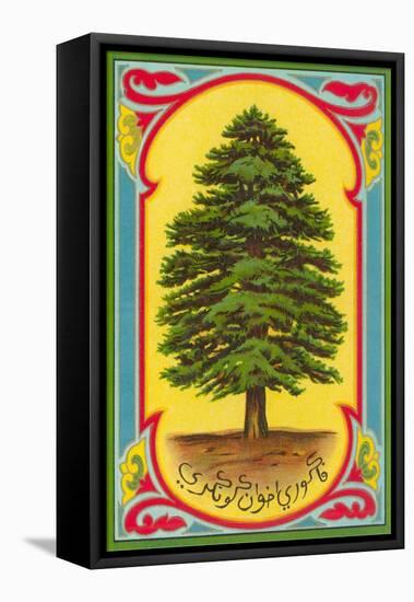 Cedar of Lebanon, Arabic Script-null-Framed Stretched Canvas