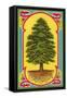 Cedar of Lebanon, Arabic Script-null-Framed Stretched Canvas