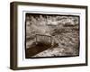 Cedar Pete,  Grafton, Utah-Steve Gadomski-Framed Photographic Print