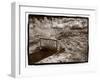 Cedar Pete,  Grafton, Utah-Steve Gadomski-Framed Photographic Print