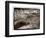 Cedar Pete,  Grafton, Utah-Steve Gadomski-Framed Photographic Print