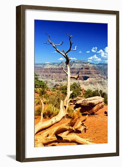 Cedar Ridge - Grand Canyon - National Park - Arizona - United States-Philippe Hugonnard-Framed Photographic Print