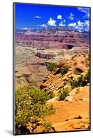 Cedar Ridge - Grand Canyon - National Park - Arizona - United States-Philippe Hugonnard-Mounted Photographic Print