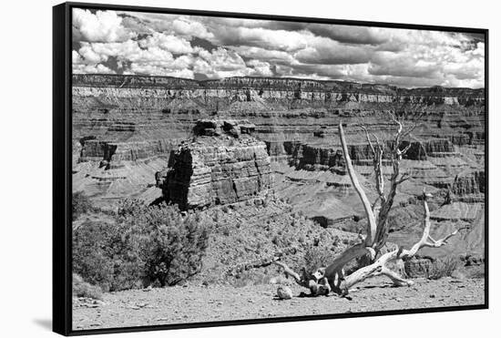 Cedar Ridge - Grand Canyon - National Park - Arizona - United States-Philippe Hugonnard-Framed Stretched Canvas