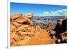 Cedar Ridge - Grand Canyon - National Park - Arizona - United States-Philippe Hugonnard-Framed Photographic Print