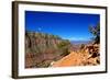 Cedar Ridge - Grand Canyon - National Park - Arizona - United States-Philippe Hugonnard-Framed Photographic Print