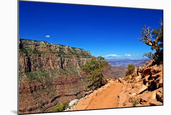 Cedar Ridge - Grand Canyon - National Park - Arizona - United States-Philippe Hugonnard-Mounted Photographic Print