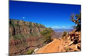 Cedar Ridge - Grand Canyon - National Park - Arizona - United States-Philippe Hugonnard-Mounted Photographic Print