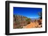 Cedar Ridge - Grand Canyon - National Park - Arizona - United States-Philippe Hugonnard-Framed Photographic Print