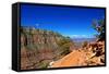 Cedar Ridge - Grand Canyon - National Park - Arizona - United States-Philippe Hugonnard-Framed Stretched Canvas