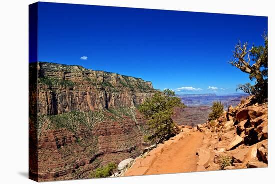 Cedar Ridge - Grand Canyon - National Park - Arizona - United States-Philippe Hugonnard-Stretched Canvas