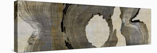 Cedar Round II-John Butler-Stretched Canvas