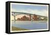 Cedar Street Bridge, Peoria, Illinois-null-Framed Stretched Canvas