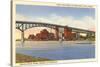 Cedar Street Bridge, Peoria, Illinois-null-Stretched Canvas