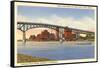 Cedar Street Bridge, Peoria, Illinois-null-Framed Stretched Canvas