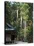 Cedar Trees at Futarasan Shinto Shrine, Nikko Temples, UNESCO World Heritage Site, Honshu, Japan-Tony Waltham-Stretched Canvas