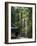 Cedar Trees at Futarasan Shinto Shrine, Nikko Temples, UNESCO World Heritage Site, Honshu, Japan-Tony Waltham-Framed Photographic Print