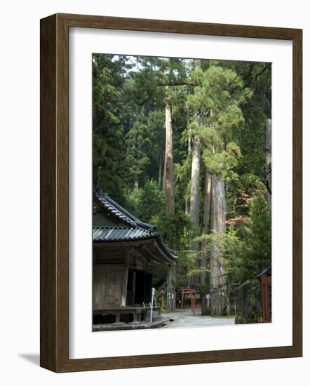 Cedar Trees at Futarasan Shinto Shrine, Nikko Temples, UNESCO World Heritage Site, Honshu, Japan-Tony Waltham-Framed Photographic Print