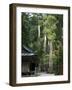 Cedar Trees at Futarasan Shinto Shrine, Nikko Temples, UNESCO World Heritage Site, Honshu, Japan-Tony Waltham-Framed Photographic Print