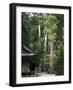 Cedar Trees at Futarasan Shinto Shrine, Nikko Temples, UNESCO World Heritage Site, Honshu, Japan-Tony Waltham-Framed Photographic Print