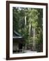 Cedar Trees at Futarasan Shinto Shrine, Nikko Temples, UNESCO World Heritage Site, Honshu, Japan-Tony Waltham-Framed Photographic Print