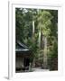 Cedar Trees at Futarasan Shinto Shrine, Nikko Temples, UNESCO World Heritage Site, Honshu, Japan-Tony Waltham-Framed Photographic Print