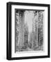 Cedar Trees, Clearwater, WA, 1936-Ashael Curtis-Framed Giclee Print