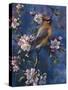 Cedar Waxwing-Jeff Tift-Stretched Canvas