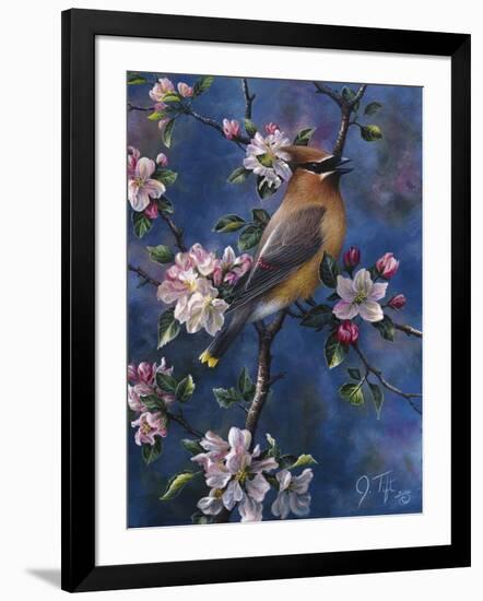 Cedar Waxwing-Jeff Tift-Framed Giclee Print