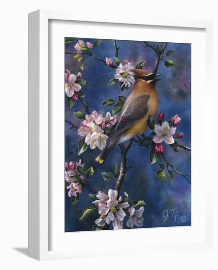 Cedar Waxwing-Jeff Tift-Framed Giclee Print