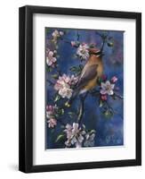 Cedar Waxwing-Jeff Tift-Framed Giclee Print