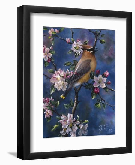 Cedar Waxwing-Jeff Tift-Framed Giclee Print