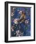 Cedar Waxwing-Jeff Tift-Framed Giclee Print