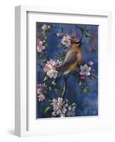 Cedar Waxwing-Jeff Tift-Framed Giclee Print