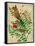 Cedar Waxwing-Kate Ward Thacker-Framed Stretched Canvas