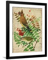 Cedar Waxwing-Kate Ward Thacker-Framed Giclee Print