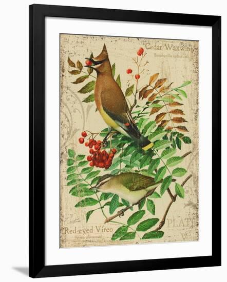 Cedar Waxwing-Kate Ward Thacker-Framed Giclee Print