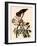 Cedar Waxwings-John James Audubon-Framed Giclee Print