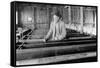 Cedaredge, Colorado - Interior View of Fish Hatchery-Lantern Press-Framed Stretched Canvas