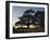 Cedars of Lebanon at the Foot of Mount Djebel Makhmal Near Bsharre, Lebanon, Middle East-Ursula Gahwiler-Framed Photographic Print